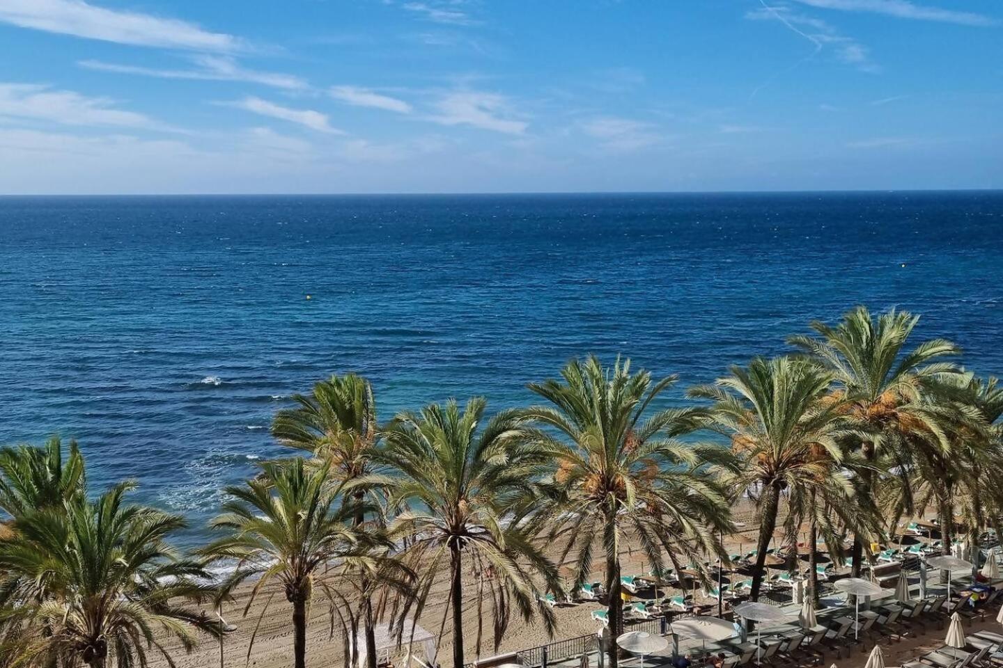 Palm Sunset * Marbella